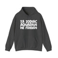 Ya Zodiac Aquarius We Friends - Fun Astrology Hoodie Gift