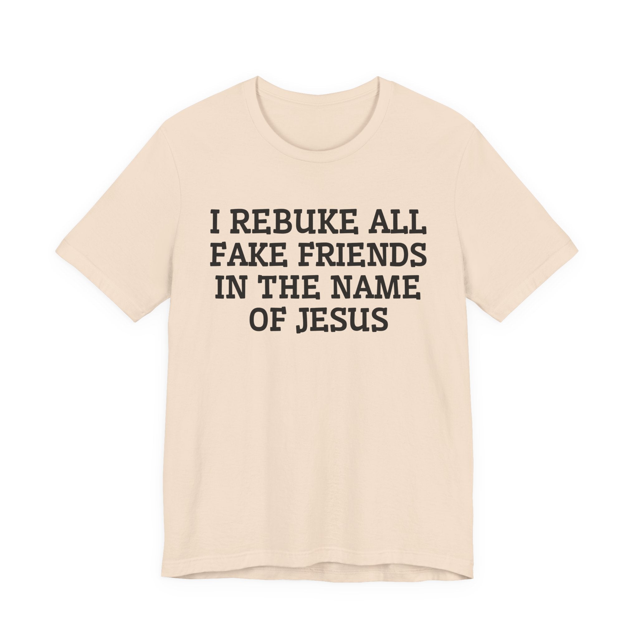 I Rebuke All Fake Friends In The Name Of Jesus - Tshirt