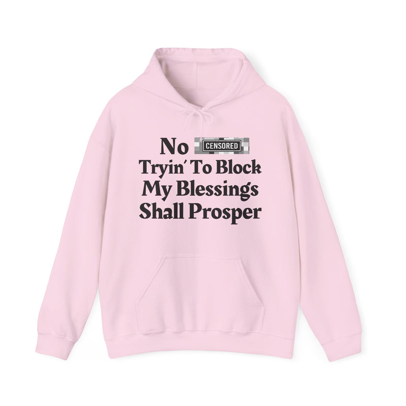 No Bitch Trying To Block My Blessings Shall Prosper — Hoodie