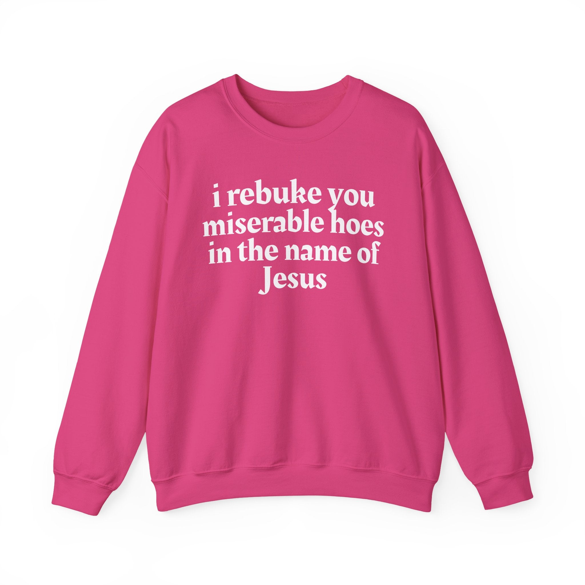 I Rebuke You Miserable Hoes In the Name of Jesus — Christian Humor Sweatshirt