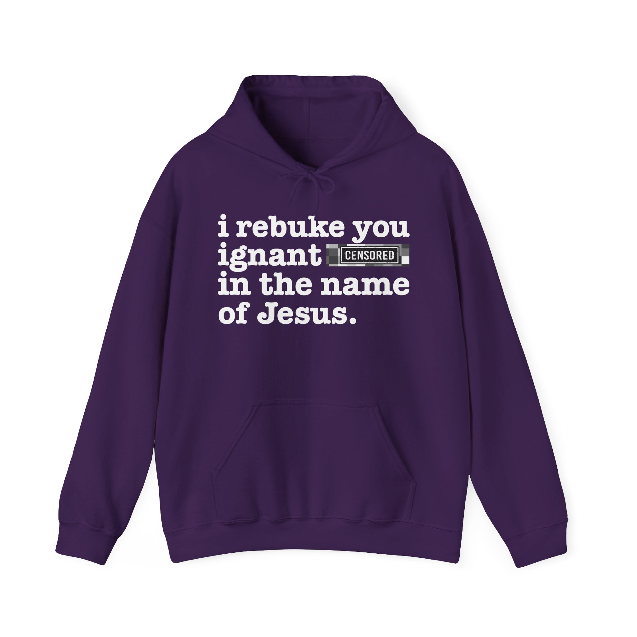 I rebuke you Ignant Bitches in the name of Jesus — Sarcastic Christian Hoodie