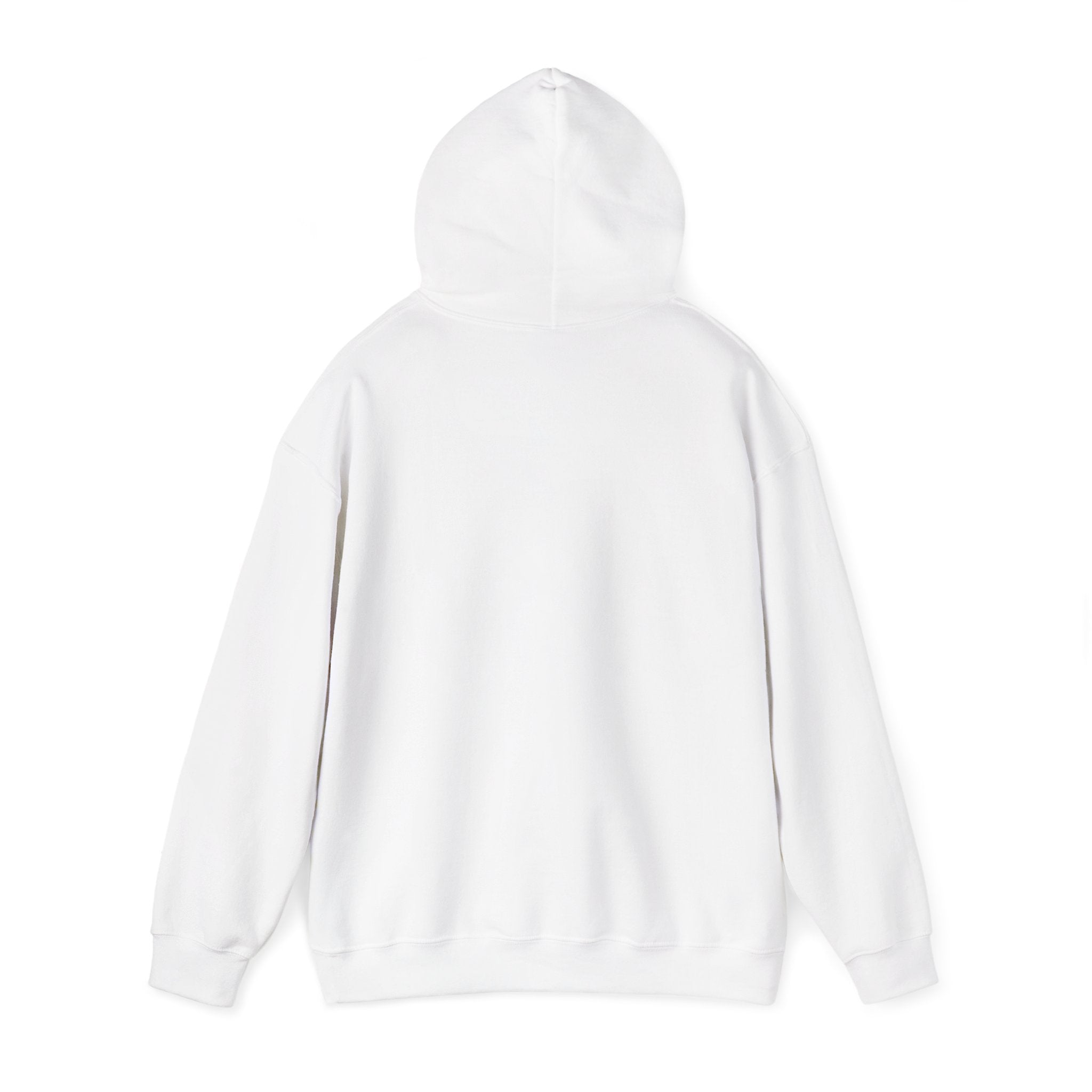 I Don't Fuck Wit Ratchet Bitches - Funny Sassy Statement Hoodie