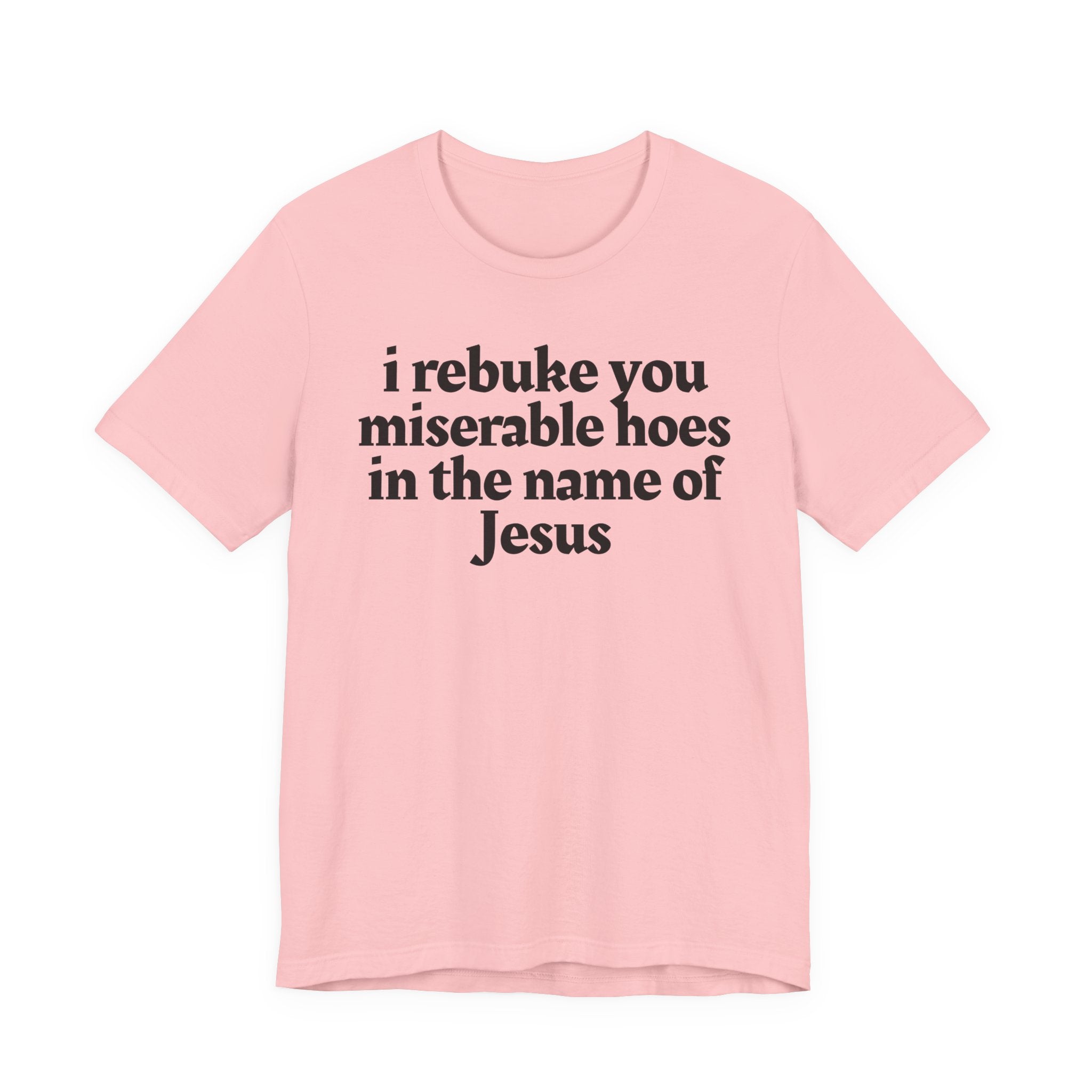 I Rebuke You Miserable Hoes in the Name of Jesus — Christian Humor T-Shirt