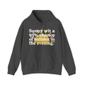 Sunny wit a 95% chance of bullshit in the evening -  Funny Weather Forecast Hoodie