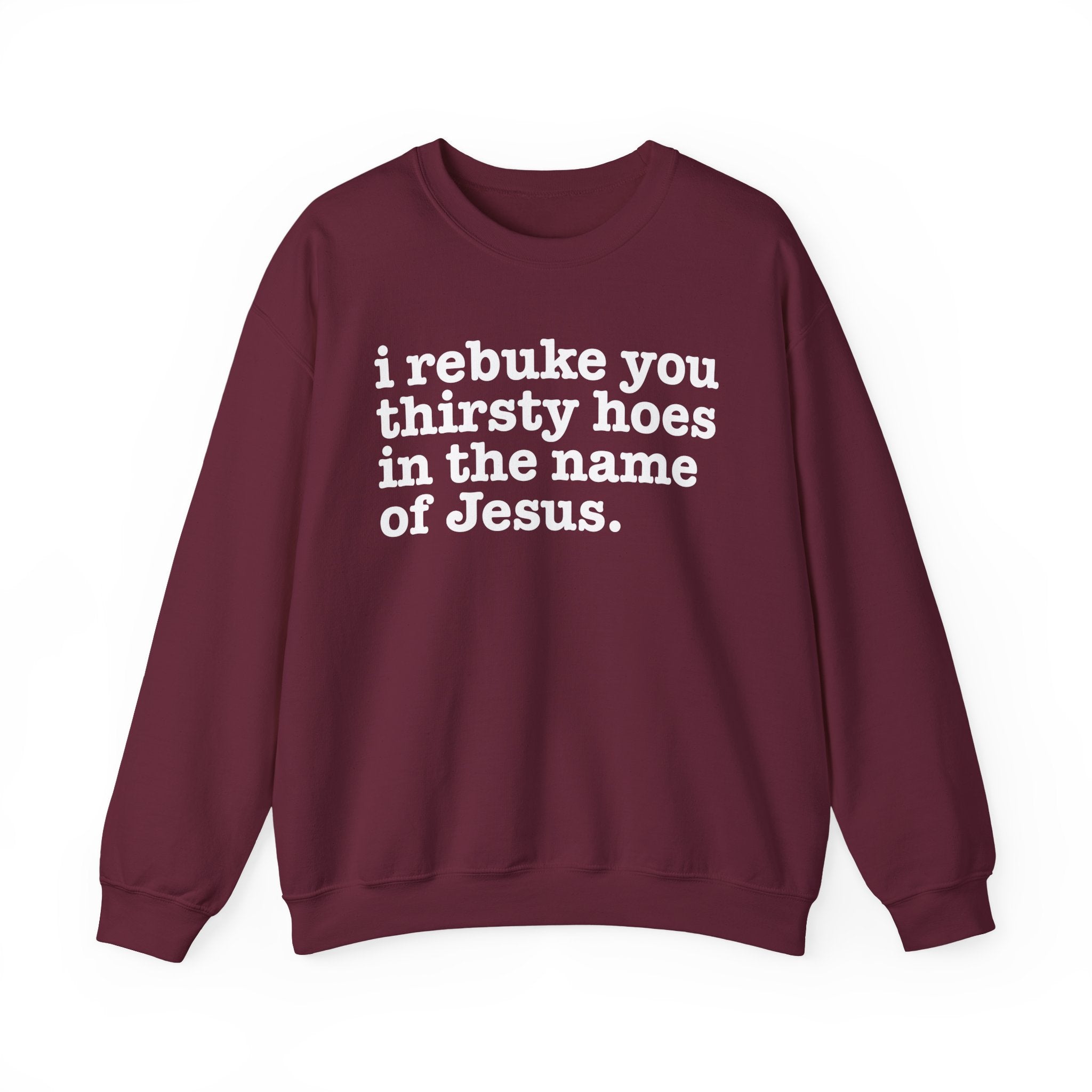 I Rebuke You Thirsty Hoes in the Name of Jesus — Christian Humor Sweatshirt