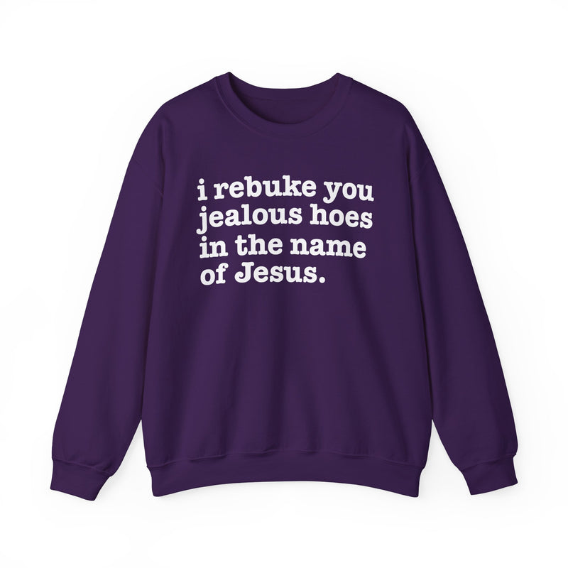 I Rebuke You Jealous Hoes In The Name Of Jesus