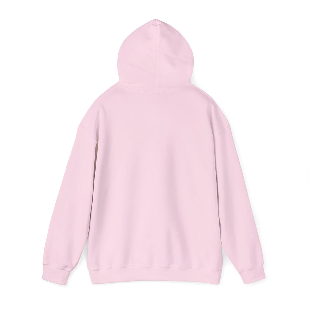 I Don't Fuck Wit Ratchet Bitches - Funny Sassy Statement Hoodie