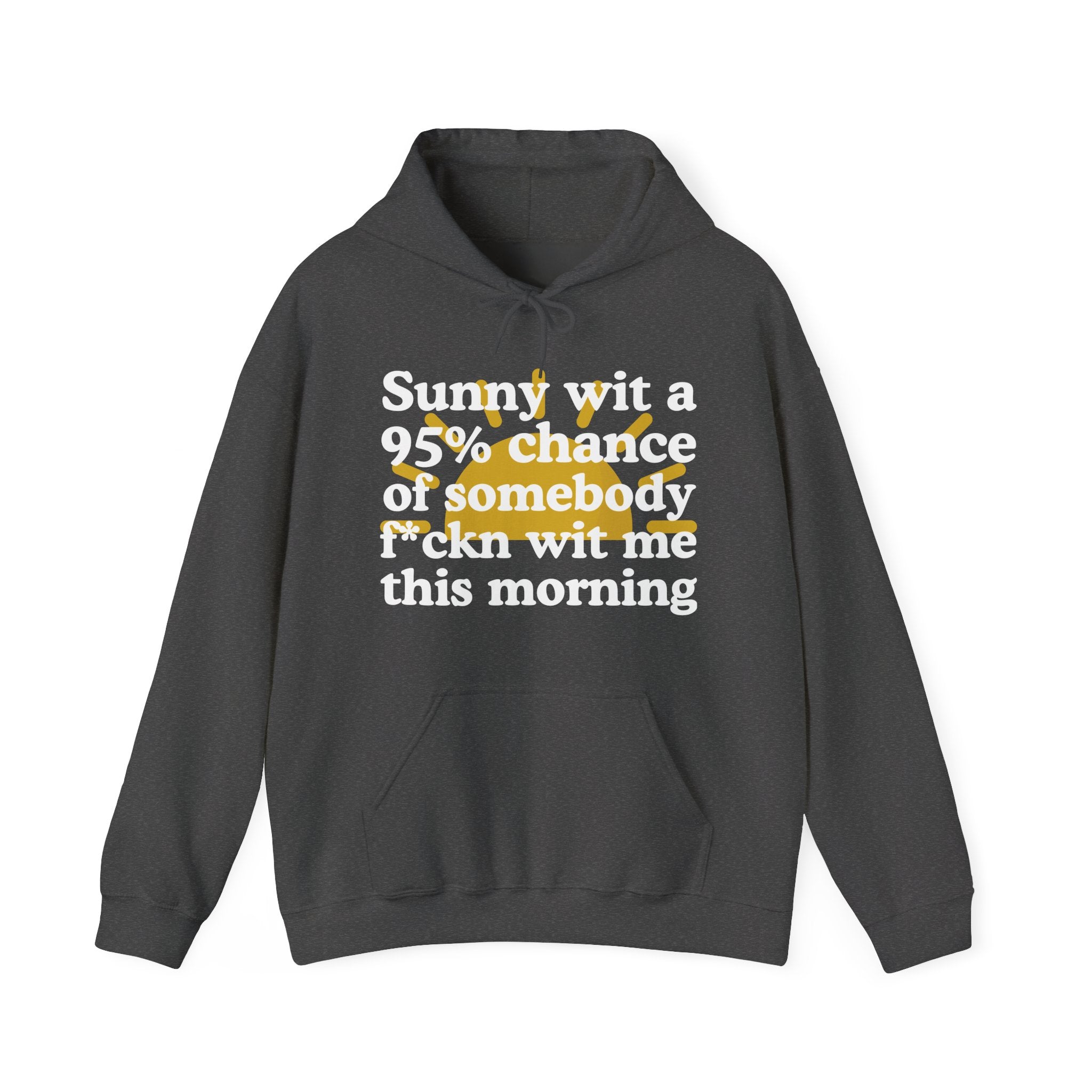 Sunny wit a 95% chance of Somebody Pissin' Fuckn Wit Me this Morning -  Funny Weather Forecast Hoodie
