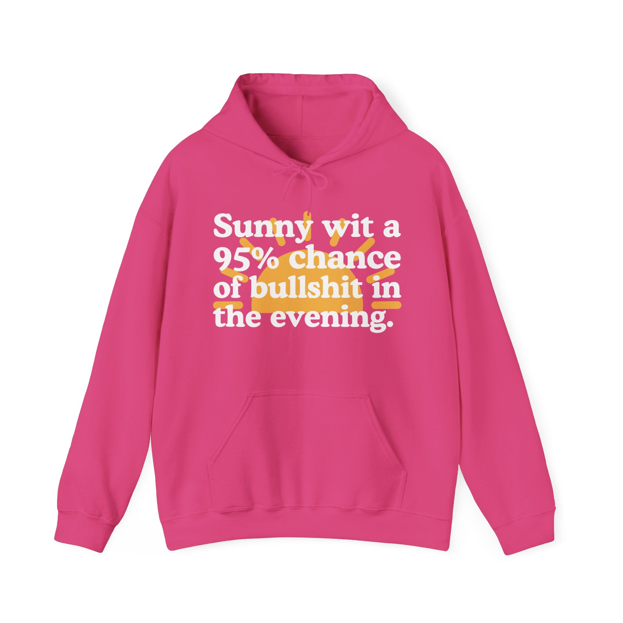 Sunny wit a 95% chance of bullshit in the evening —  Funny Weather Forecast Hoodie