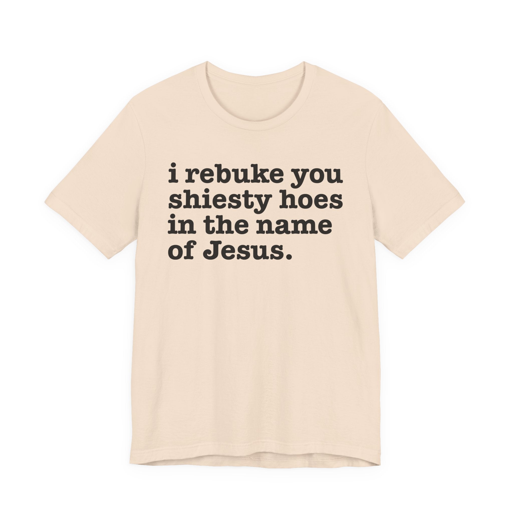 I Rebuke You Shiesty Hoes in the Name of Jesus — Christian Humor T-Shirt