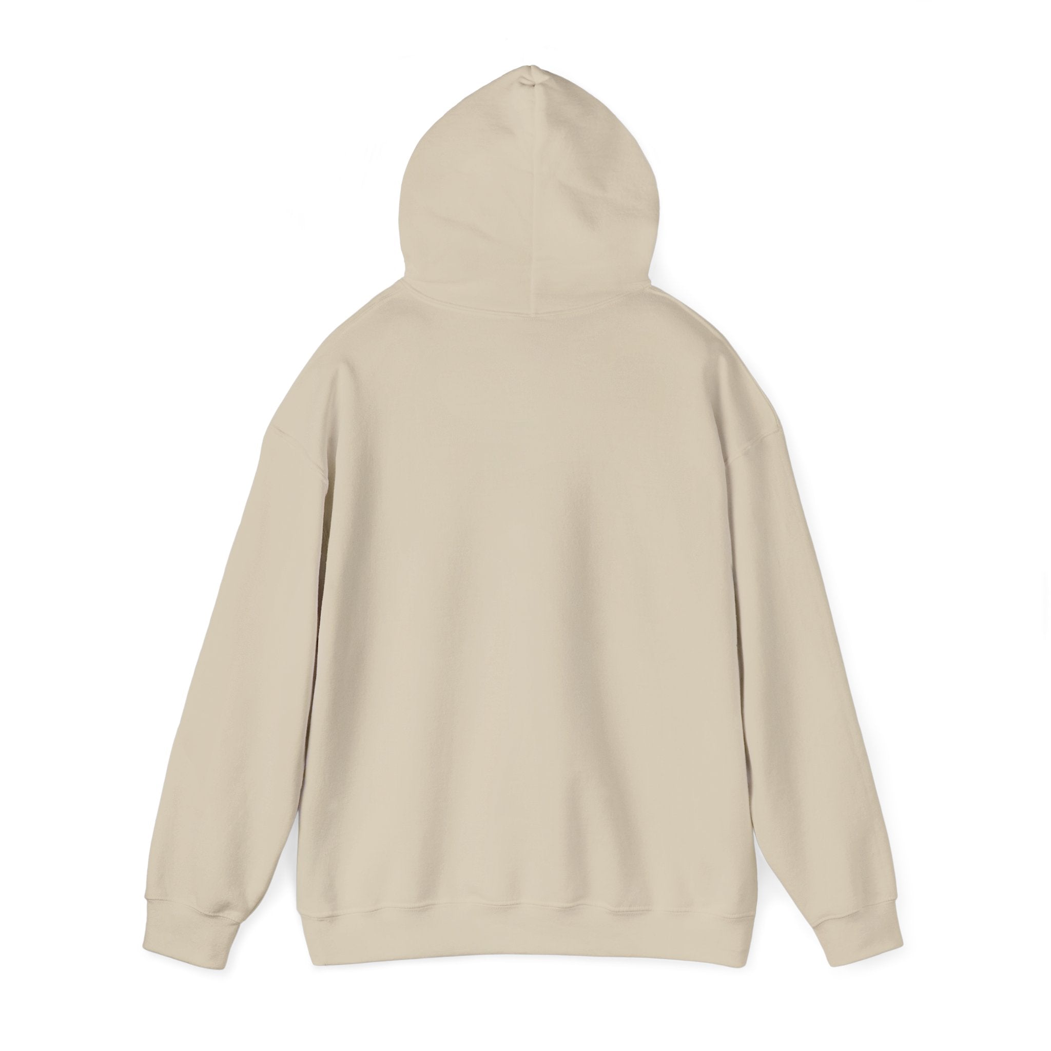 I Don't Fuck Wit Ratchet Bitches - Funny Sassy Statement Hoodie