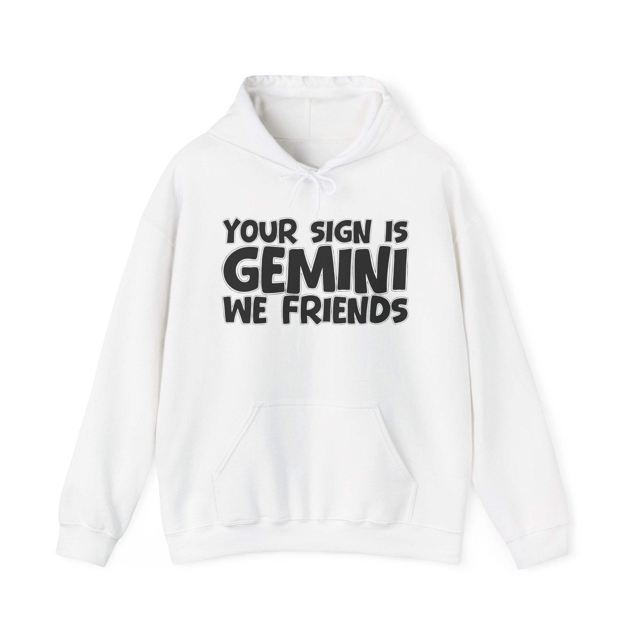 Your Sign Is Gemini We Friends - Fun Astrology Hoodie Gift