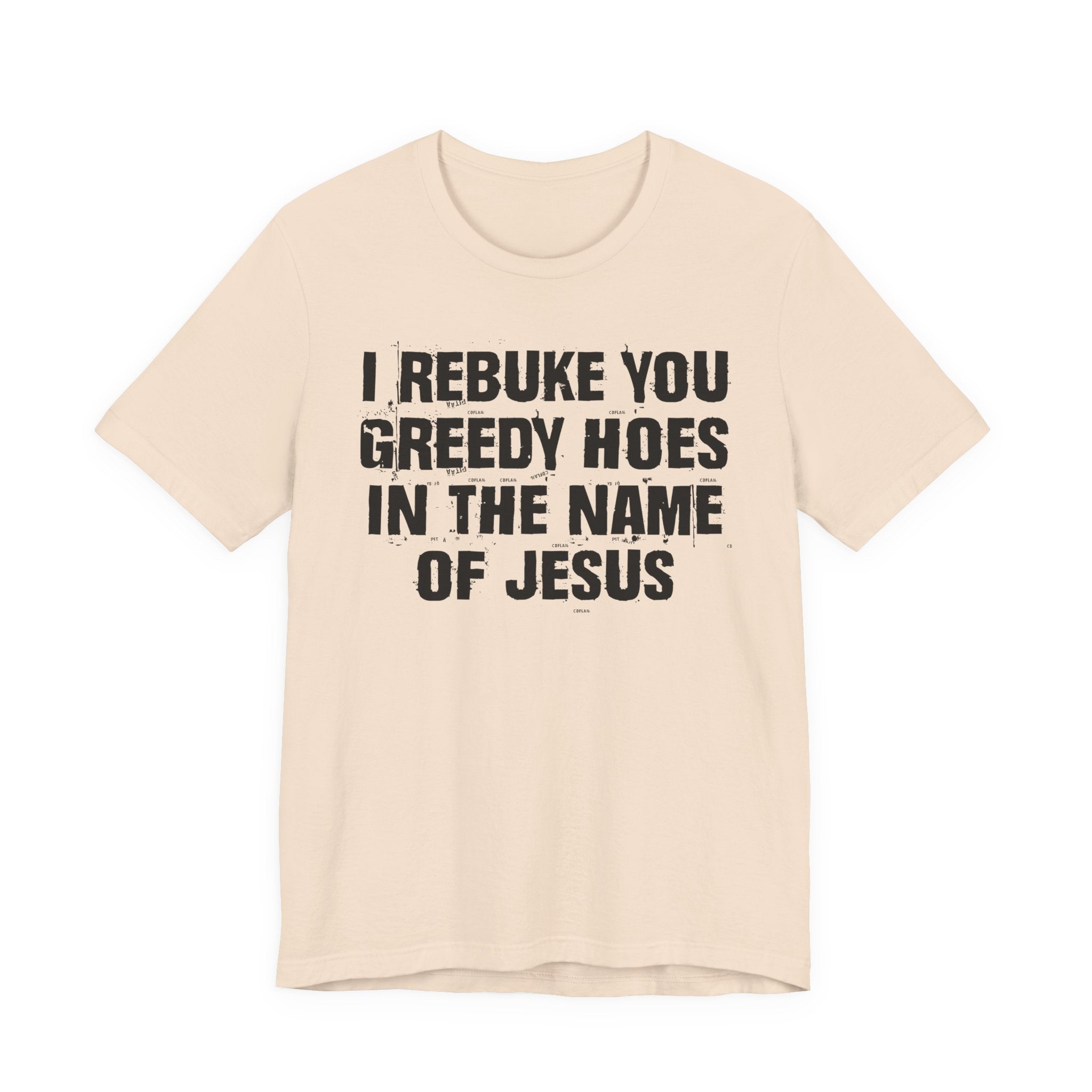 I Rebuke You Greedy Hoes in the Name of Jesus — Christian Humor T-Shirt