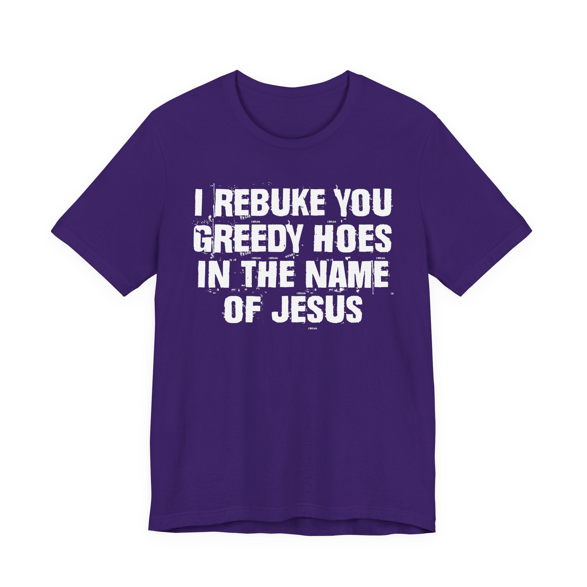 I Rebuke You Greedy Hoes in the Name of Jesus — Christian Humor T-Shirt