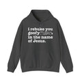 I rebuke you Goofy Bitches in the name of Jesus - Sarcastic Christian Hoodie