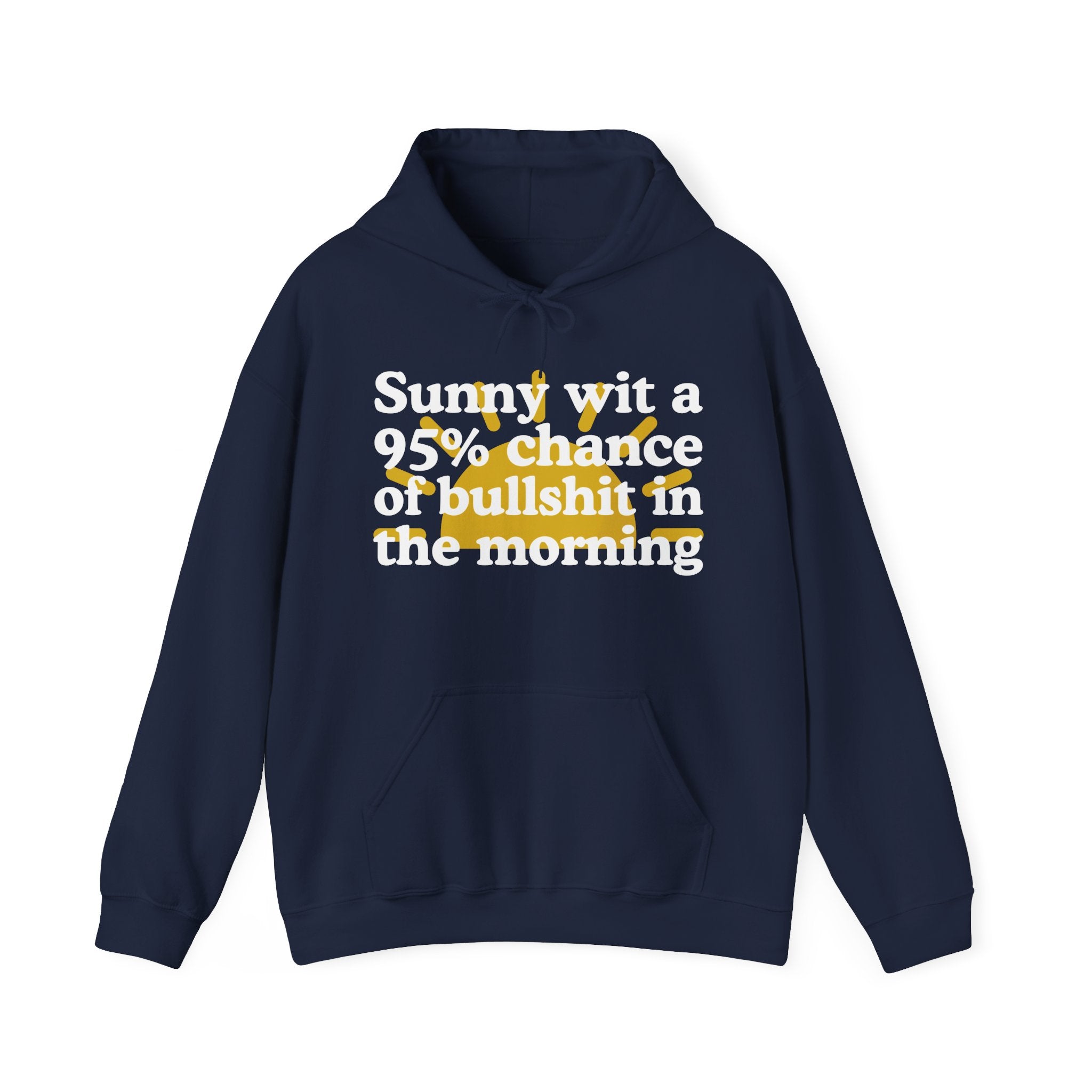 Sunny wit a 95% chance of bullshit in the Morning —  Funny Weather Forecast Hoodie