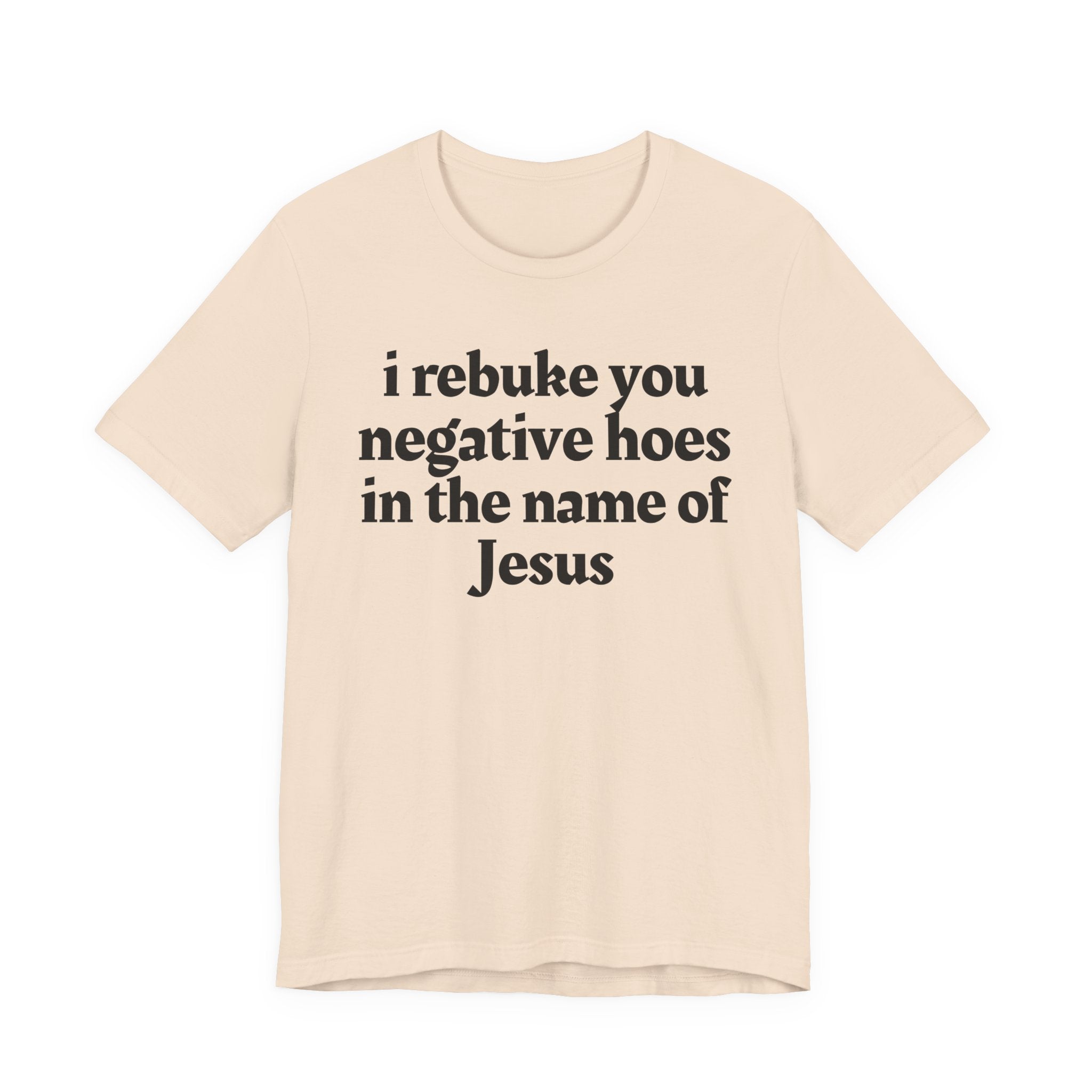 I Rebuke You Negative Hoes in the Name of Jesus — Christian Humor T-Shirt