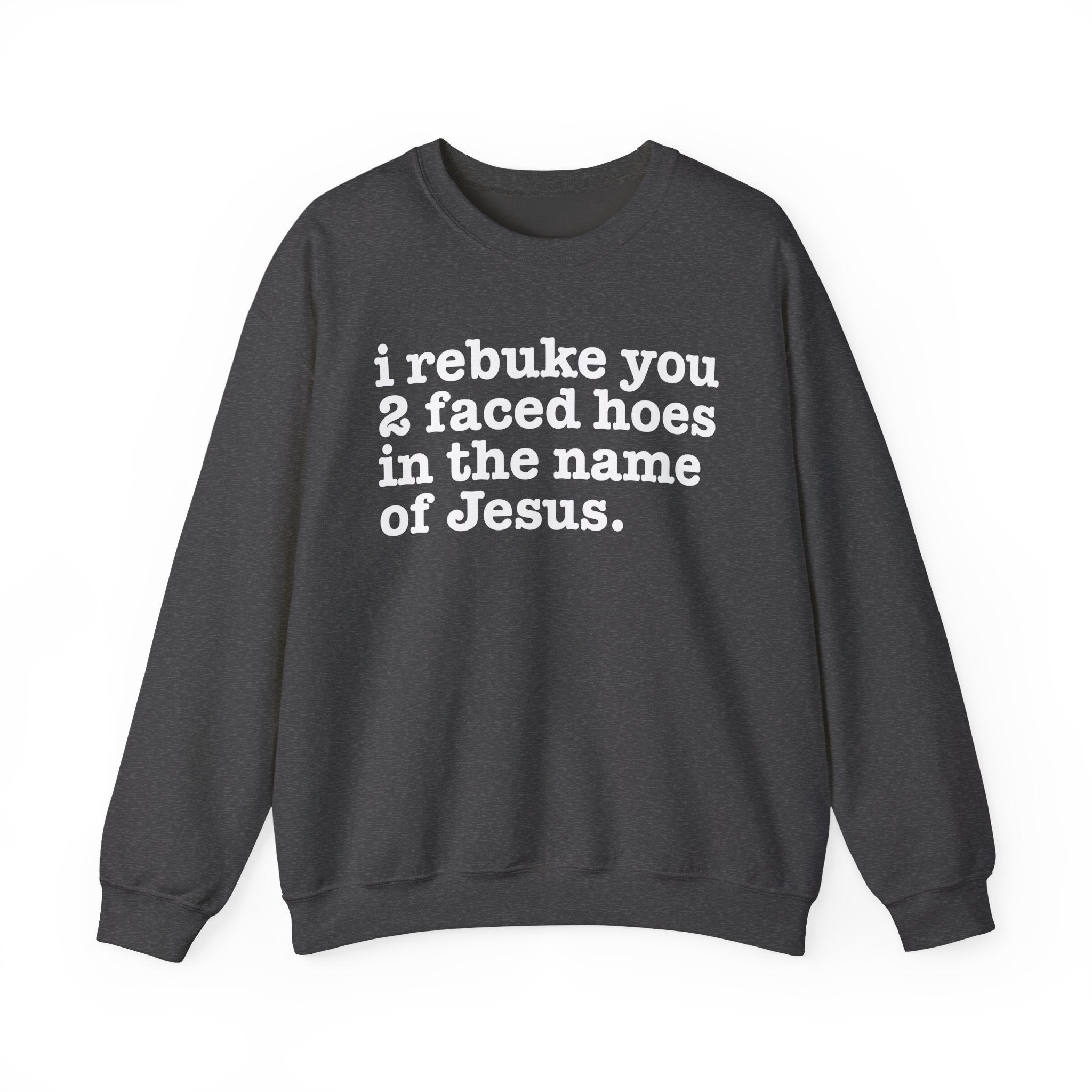 I Rebuke You 2 Faced Hoes in the Name of Jesus — Christian Humor Sweatshirt