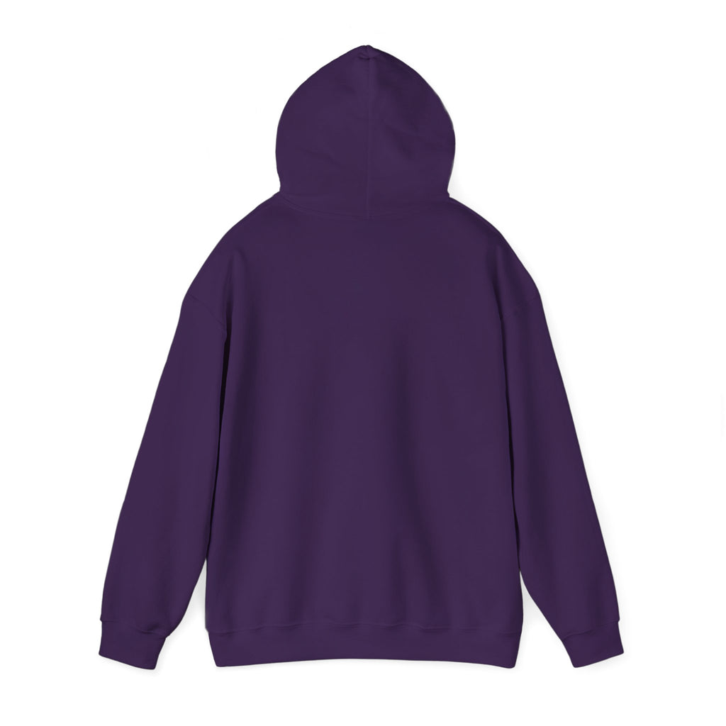 I Don't Fuck Wit Ratchet Bitches - Funny Sassy Statement Hoodie