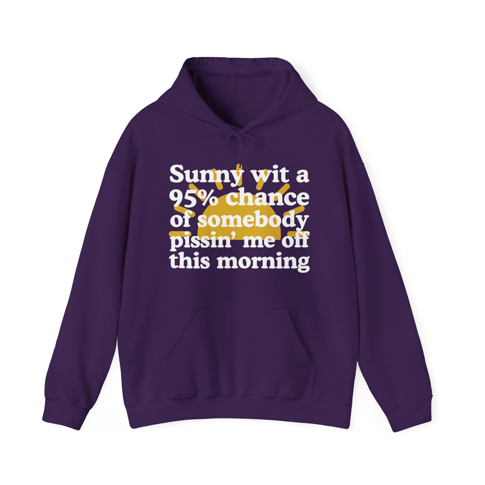 Sunny wit a 95% chance of Somebody Pissin' Me Off this Morning —  Funny Weather Forecast Hoodie