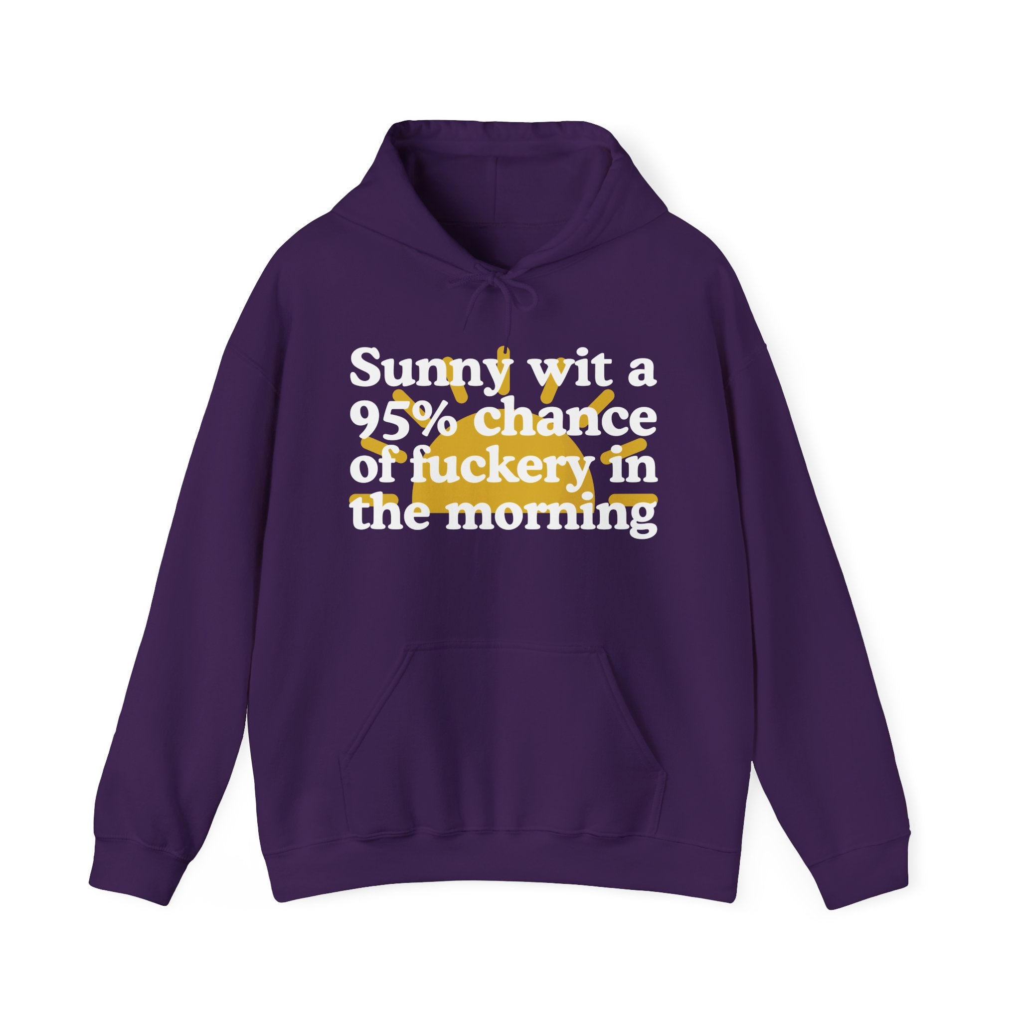 Sunny wit a 95% chance of Fuckery in the Morning —  Funny Weather Forecast Hoodie