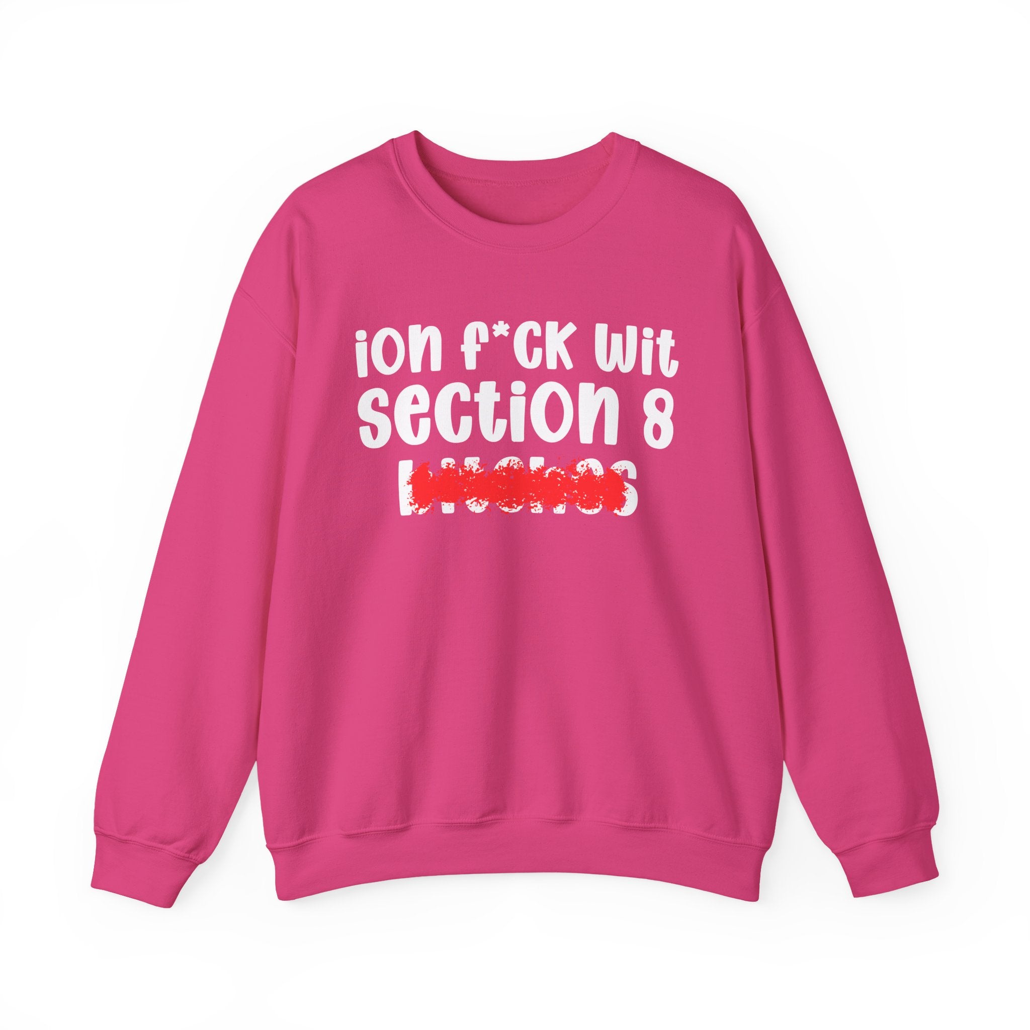 ION (I Don't) FUCK WIT SECTION 8 BITCHES — Bold Sarcastic Sweatshirt
