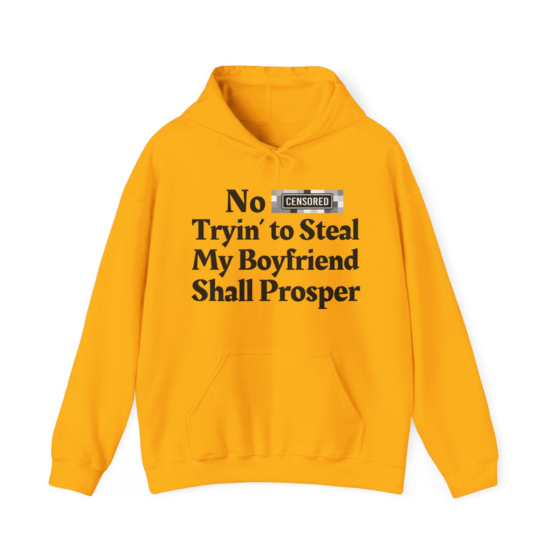 No Bitch Trying To Steal My Boyfriend Shall Prosper — Hoodie