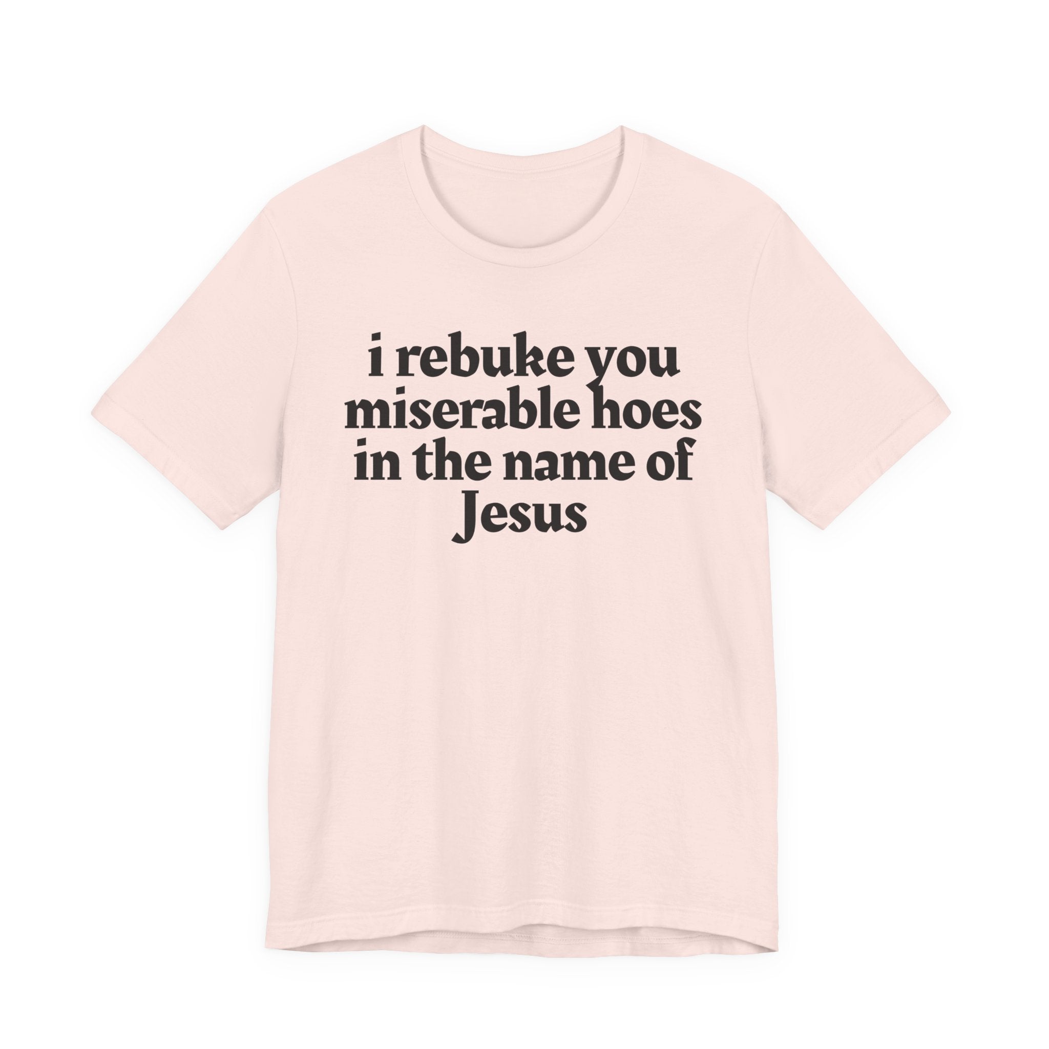 I Rebuke You Miserable Hoes in the Name of Jesus — Christian Humor T-Shirt
