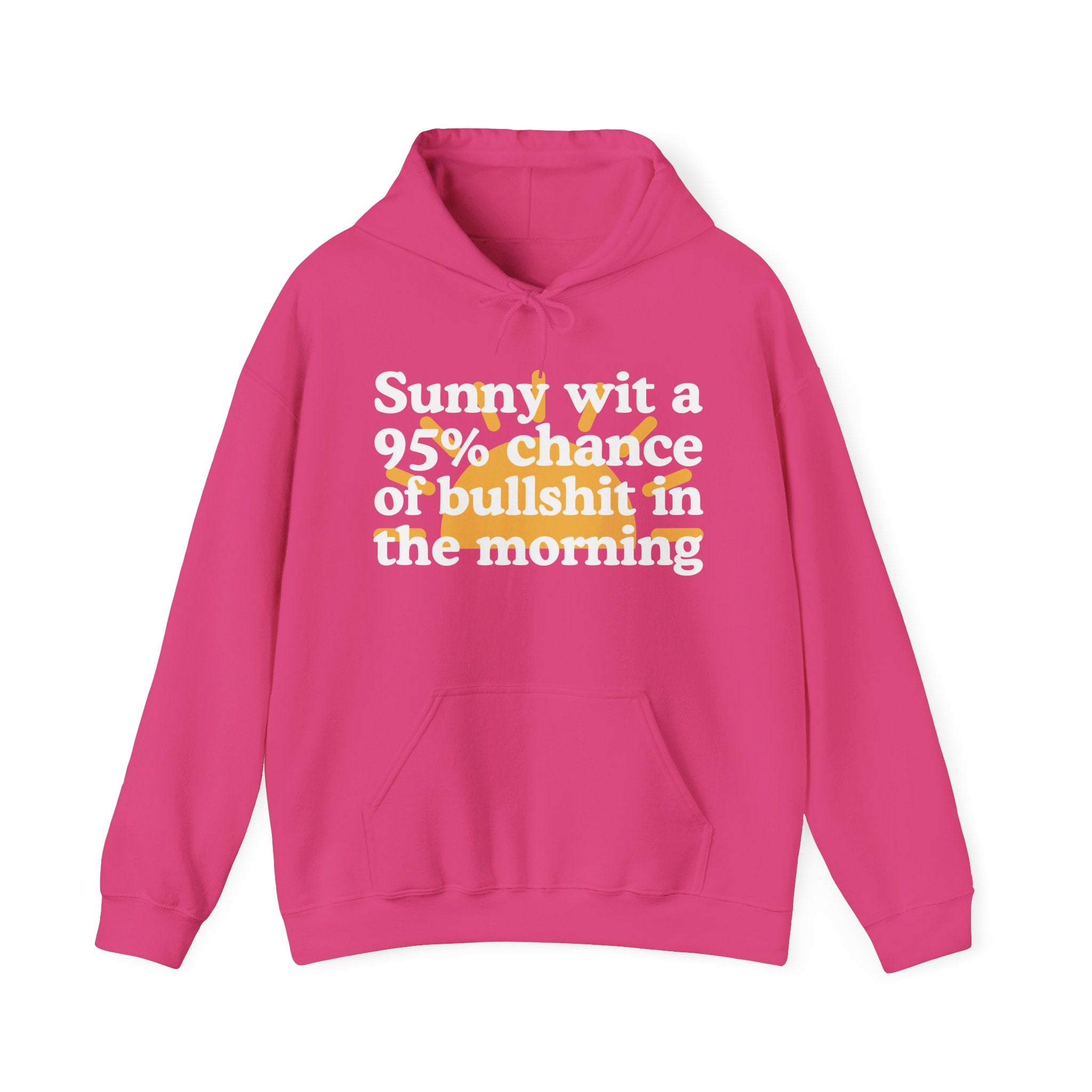 Sunny wit a 95% chance of bullshit in the Morning —  Funny Weather Forecast Hoodie
