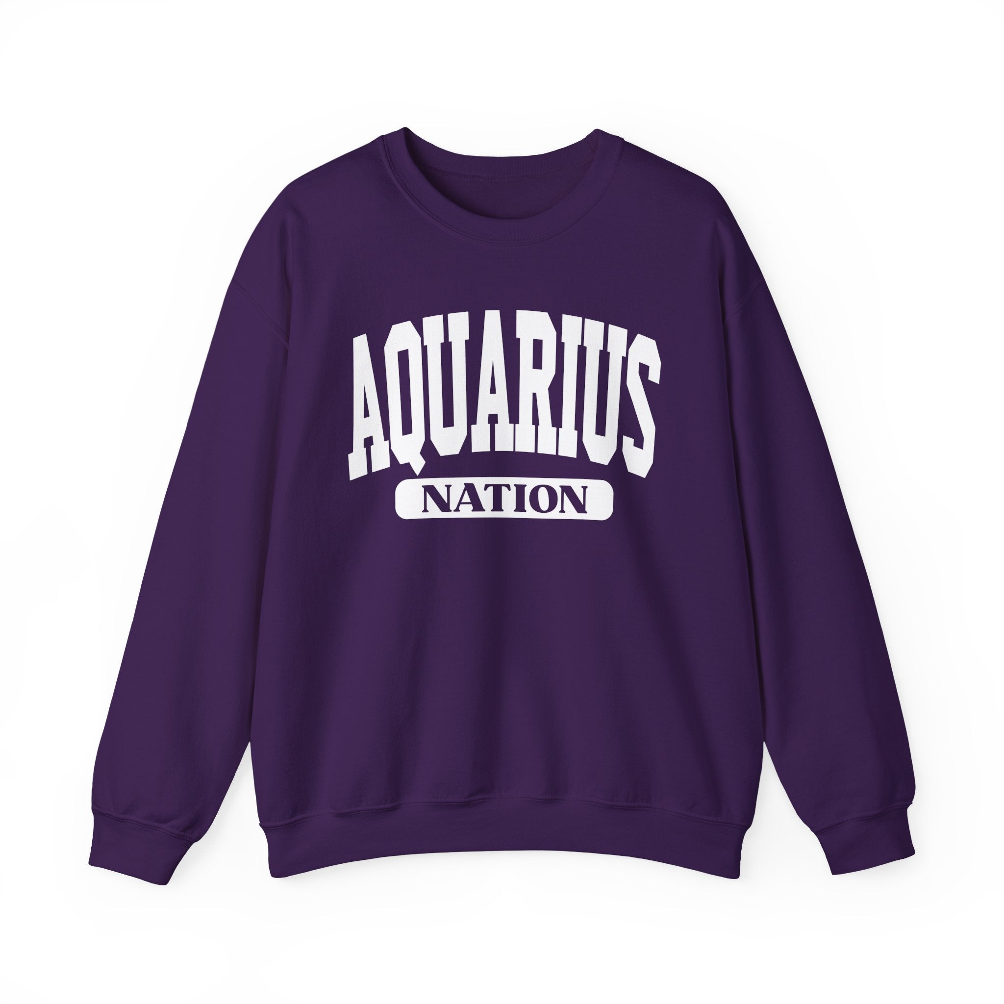 Aquarius Nation — Zodiac Astrology Sweathsirt for Gemini