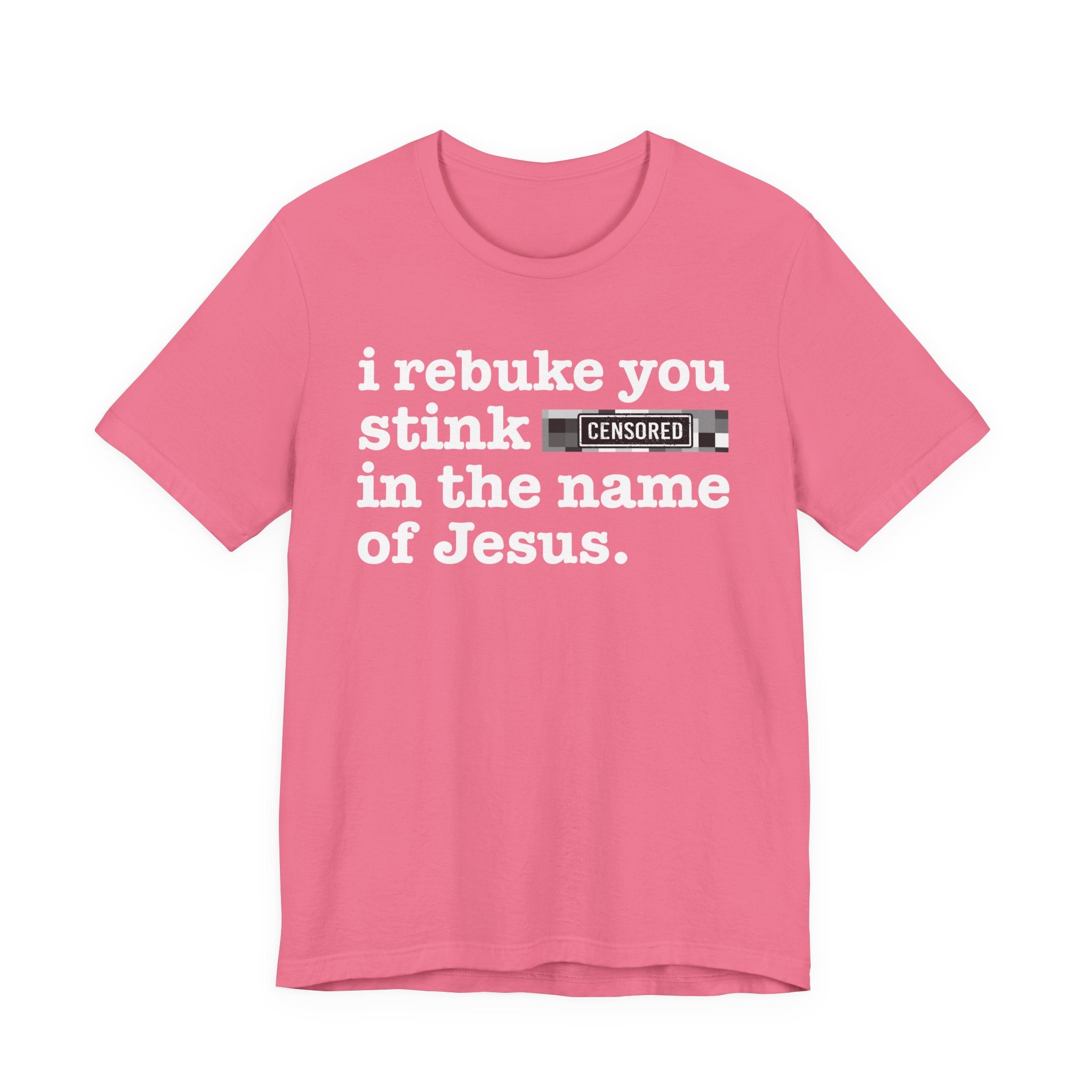 I rebuke you Stink Bitches in the name of Jesus — Provocative Christian Faith T-Shirt