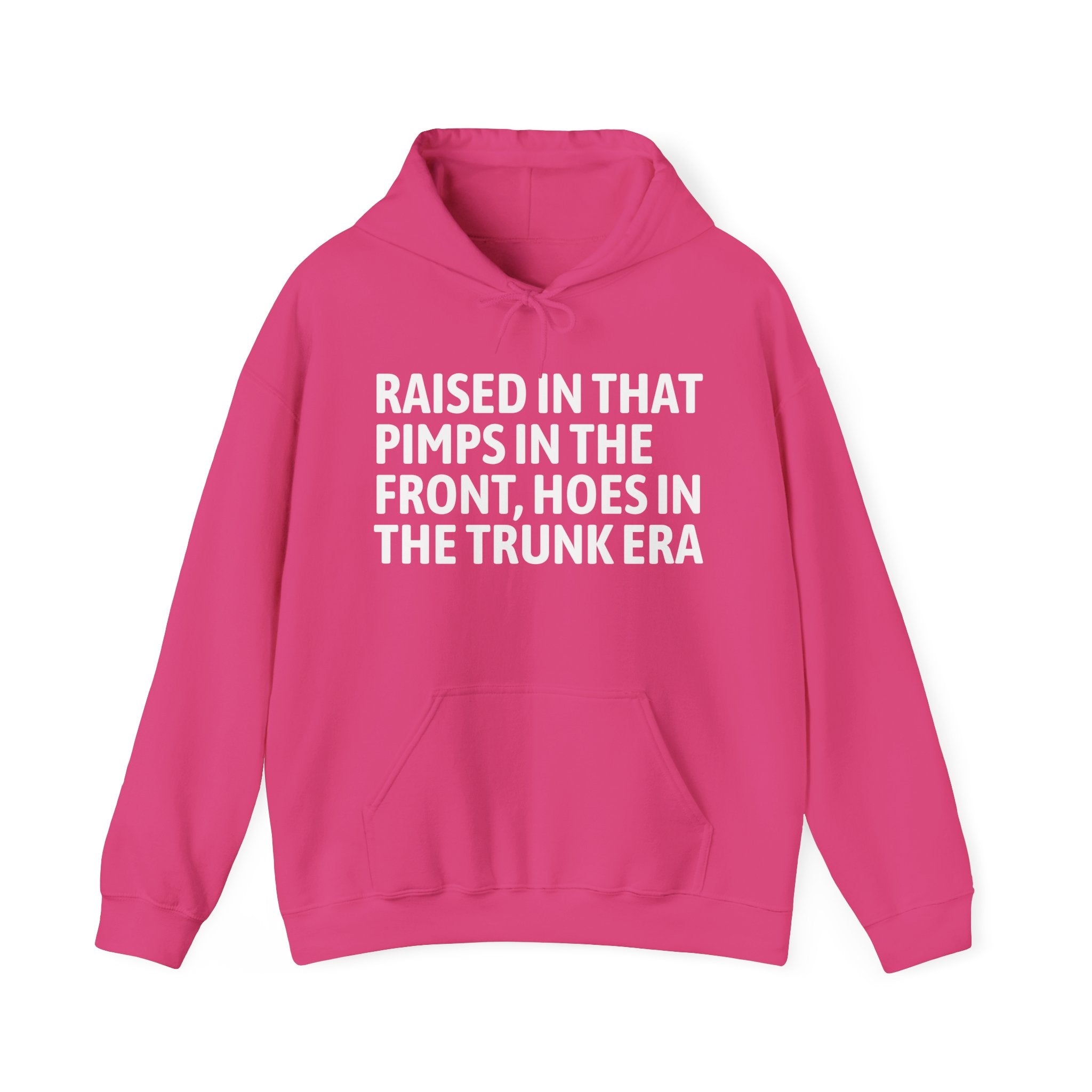 Raised In That Pimps In The Front Hoes In The Trunk Era Funny Back In The Day Statement Hoodie