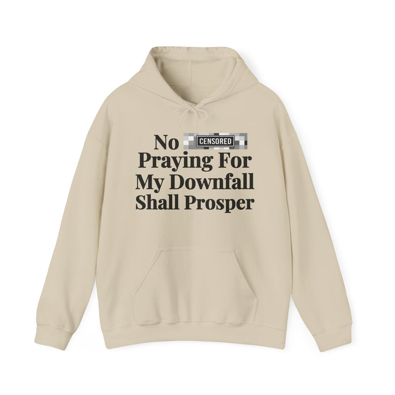 No Bitch Praying For My Downfall Shall Prosper — Hoodie