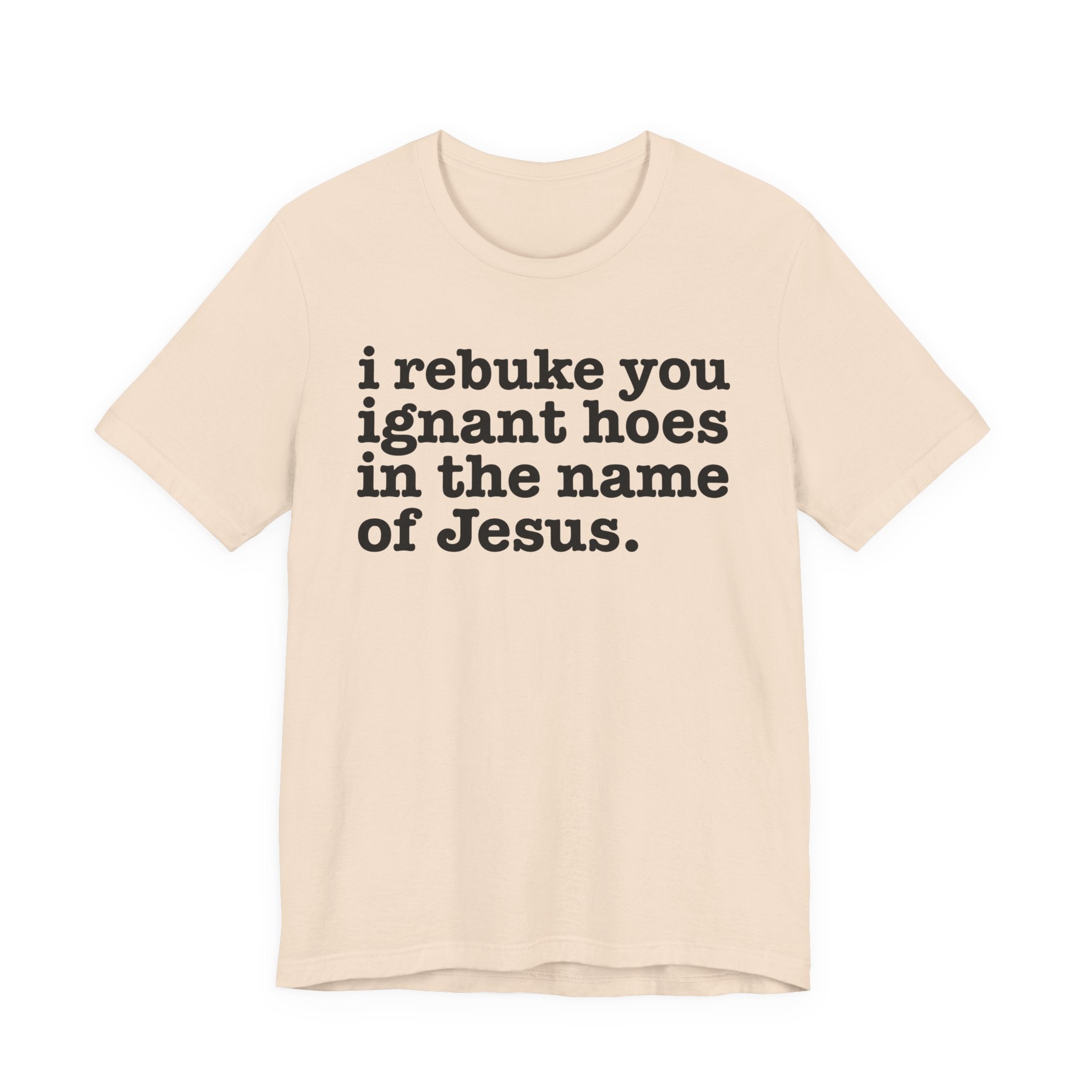 I Rebuke You Ignant Hoes in the Name of Jesus — Christian Humor T-Shirt