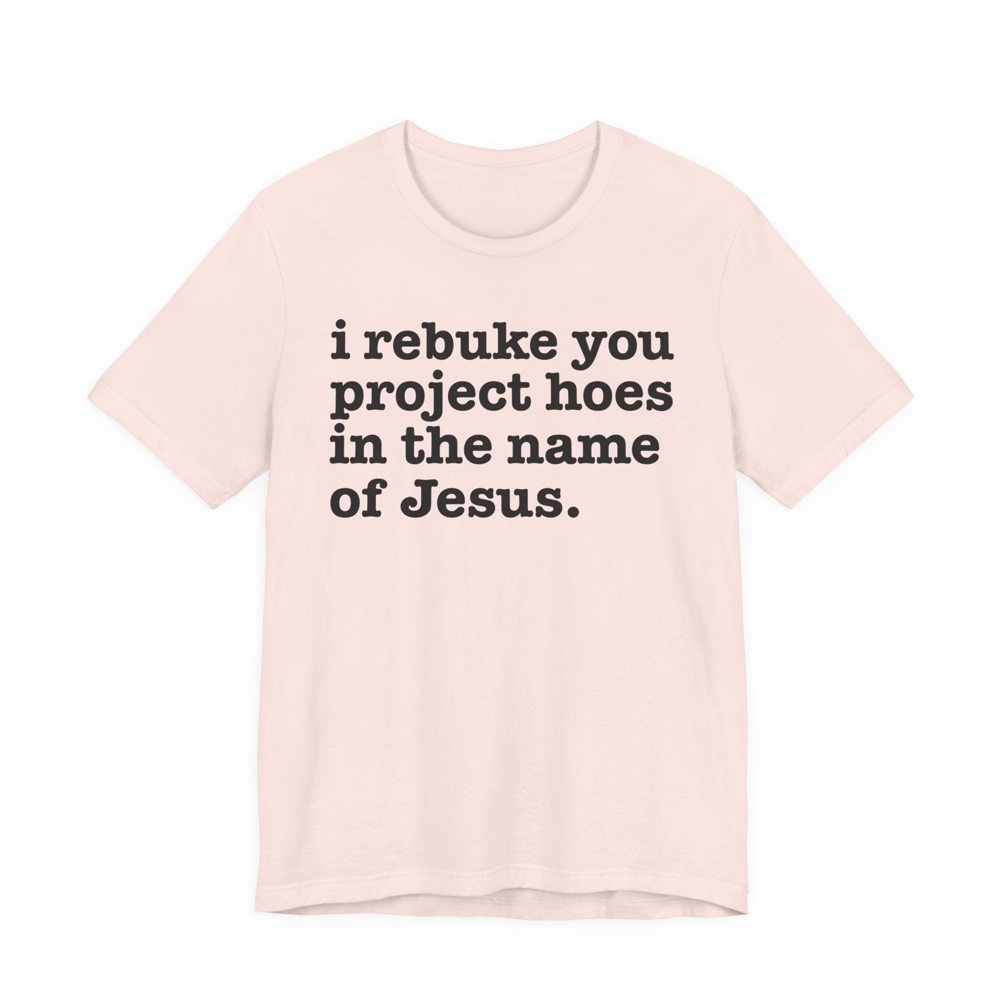 I Rebuke You Project Hoes in the Name of Jesus — Christian Humor T-Shirt