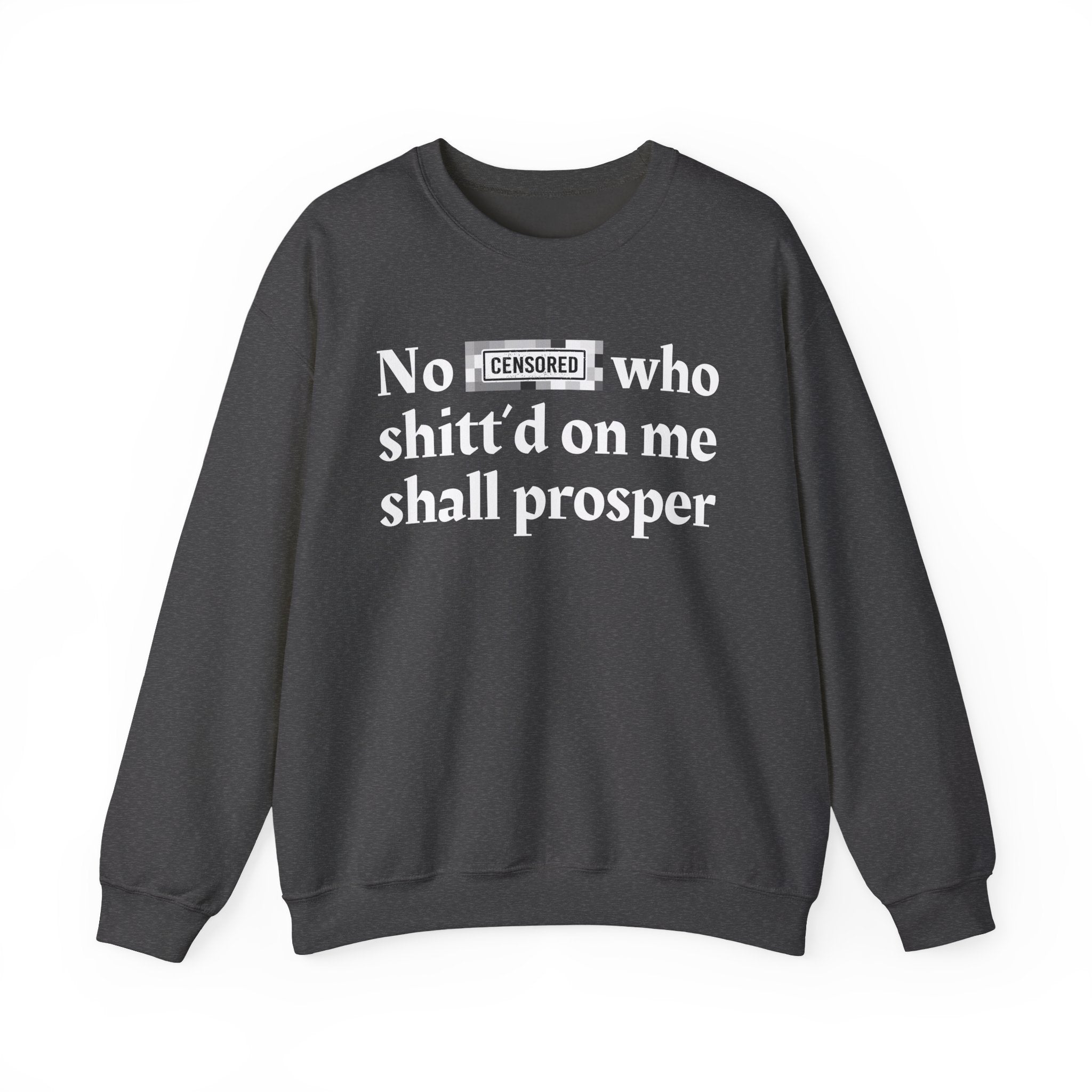 No Bitch Who Shitt'd On Me Shall Prosper — Bold Christian Statement Sweatshirt