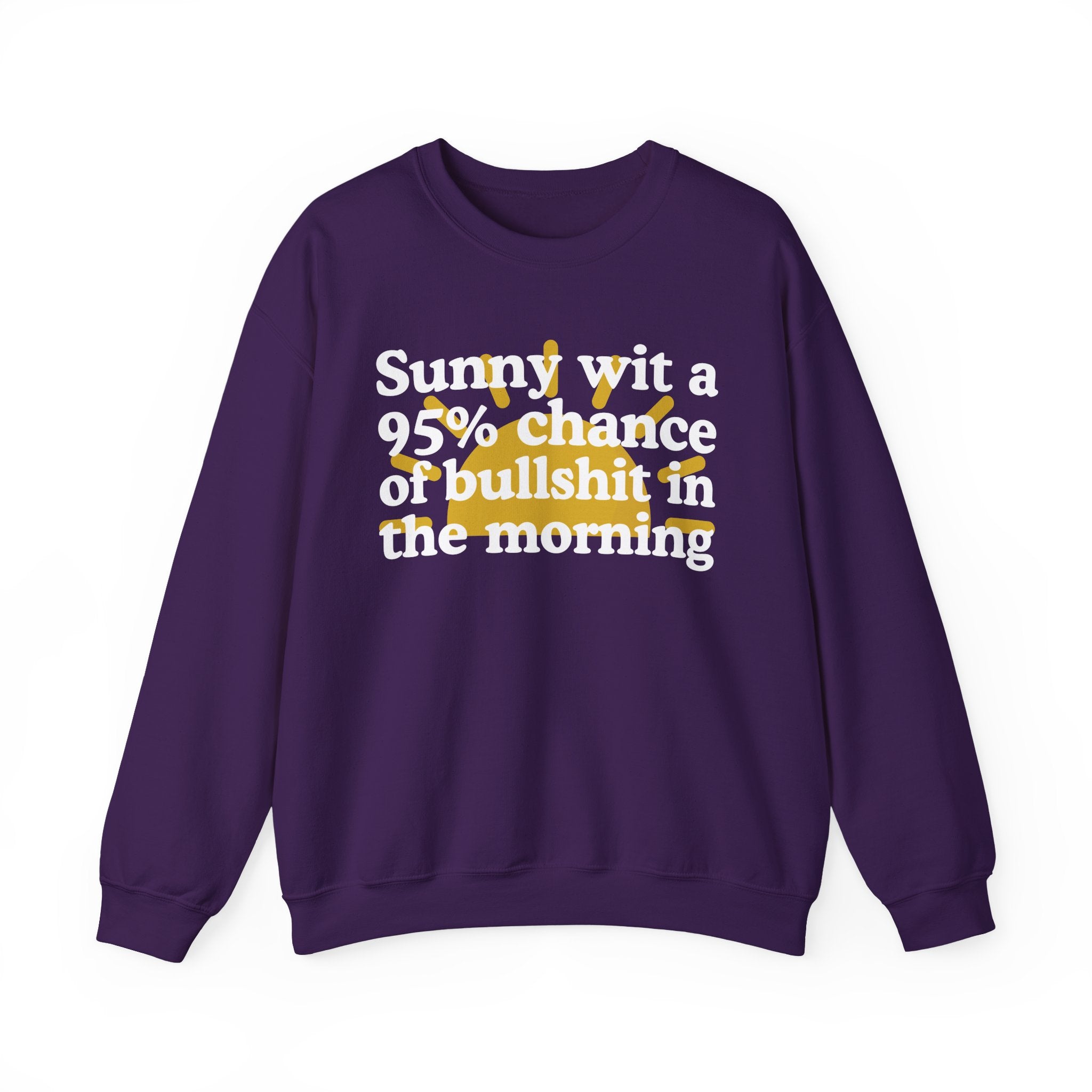 Sunny wit a 95% chance of Bullshit In The Morning —  Funny Weather Forecast Sweatshirt