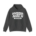 Scorpio Nation Hoodie — Zodiac Graphic Pullover for Gemini Fans