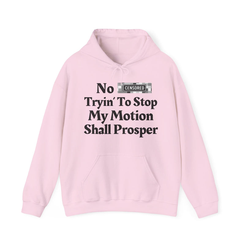No Bitch Trying To Stop My Motion Shall Prosper — Hoodie