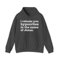 I Rebuke You Hypocrites in the Name of Jesus - Humorous Religious Hoodie