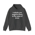 I Rebuke You Negative Hoes in the Name of Jesus - Humorous Religious Hoodie