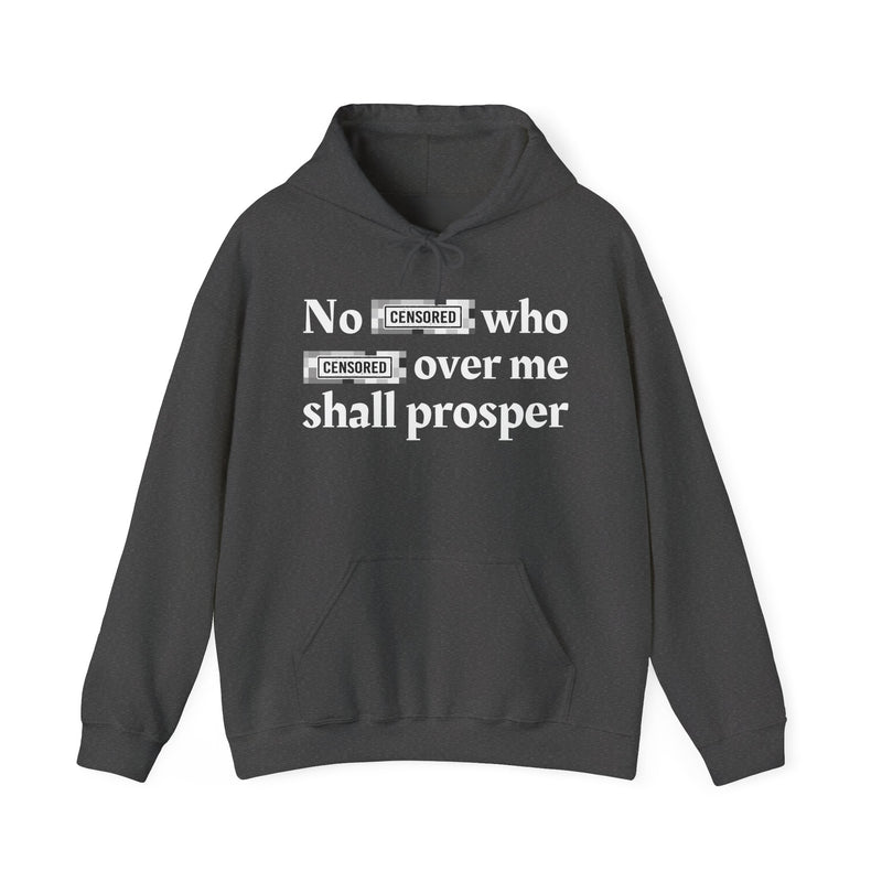 No Bitch Who Fuck Over Me Shall Prosper — Hoodie