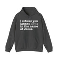 I rebuke you Ignant Bitches in the name of Jesus - Sarcastic Christian Hoodie