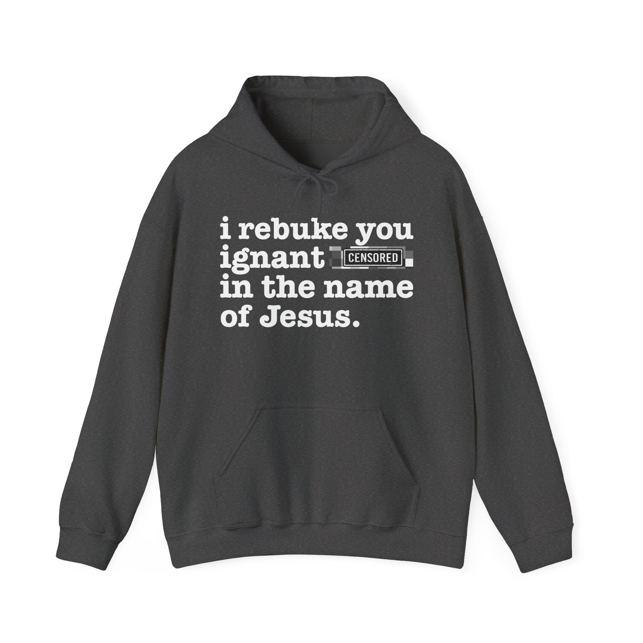 I rebuke you Ignant Bitches in the name of Jesus - Sarcastic Christian Hoodie
