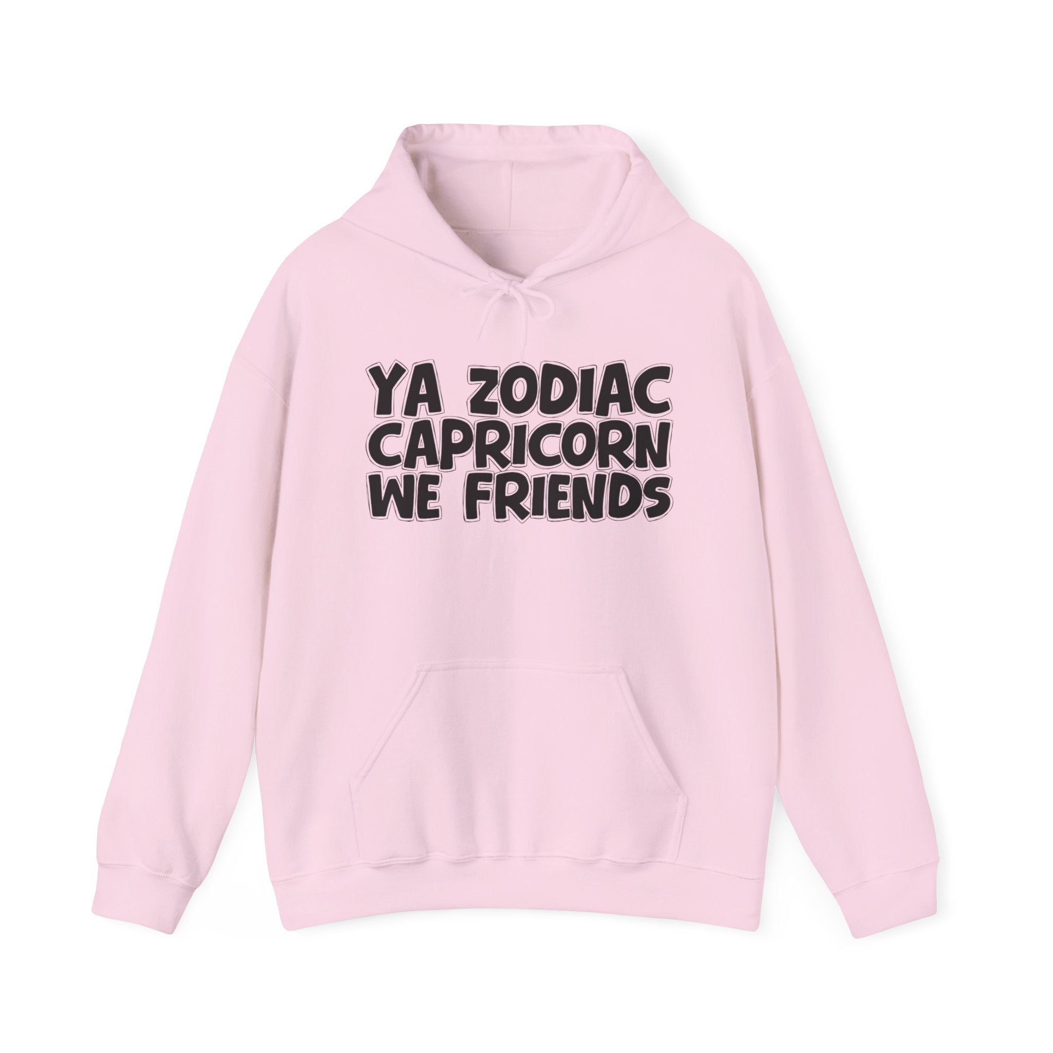 Ya Zodiac Capricorn We Friends - Fun Astrology Hoodie Gift