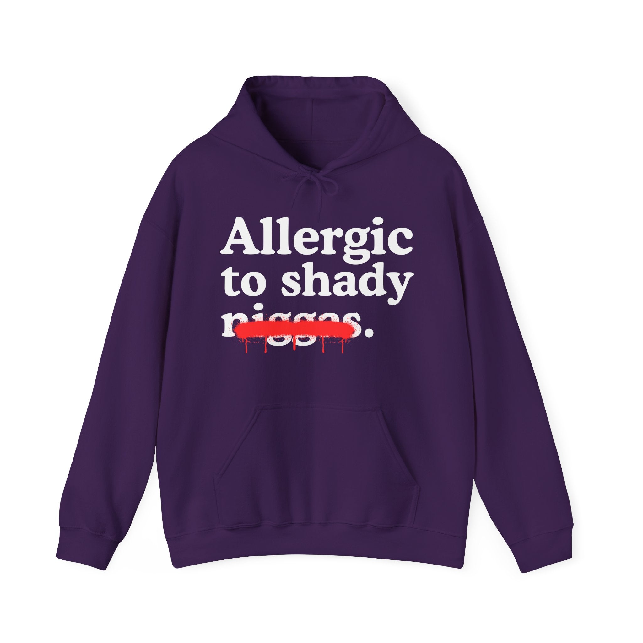 Allergic To Shady Niggas — Sarcastic Statement Hoodie
