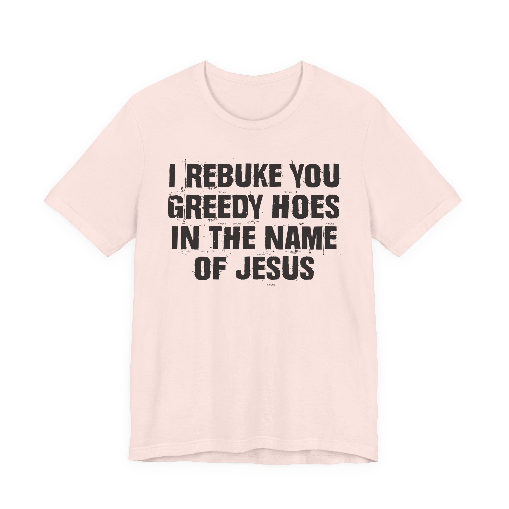 I Rebuke You Greedy Hoes in the Name of Jesus — Christian Humor T-Shirt